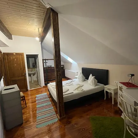 Guest House Hena Sfântu-Gheorghe Extérieur photo
