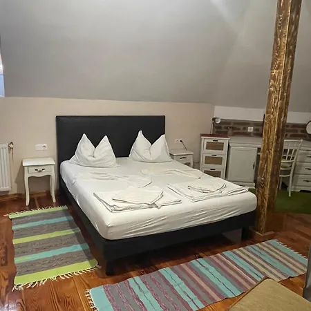 Guest House Hena Sfântu-Gheorghe Extérieur photo