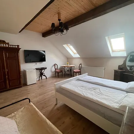 Guest House Hena Sfântu-Gheorghe Extérieur photo