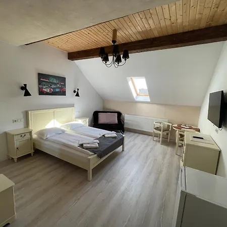 Guest House Hena Sfântu-Gheorghe Extérieur photo