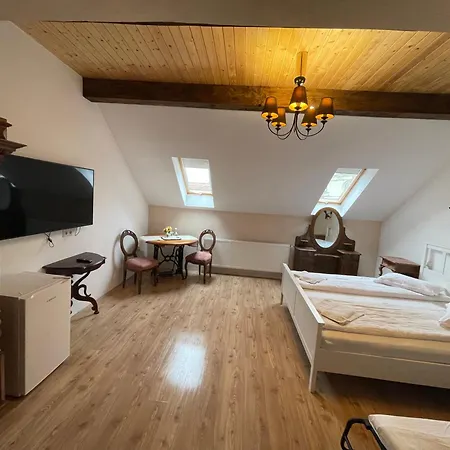 Guest House Hena Sfântu-Gheorghe Extérieur photo