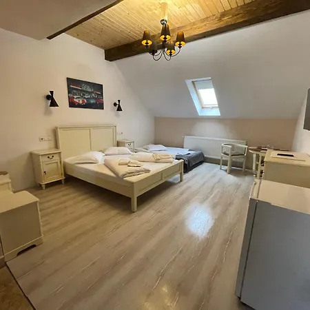 Guest House Hena Sfântu-Gheorghe Extérieur photo