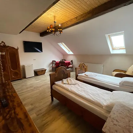 Guest House Hena Sfântu-Gheorghe Extérieur photo