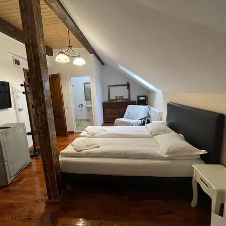 Guest House Hena Sfântu-Gheorghe Extérieur photo