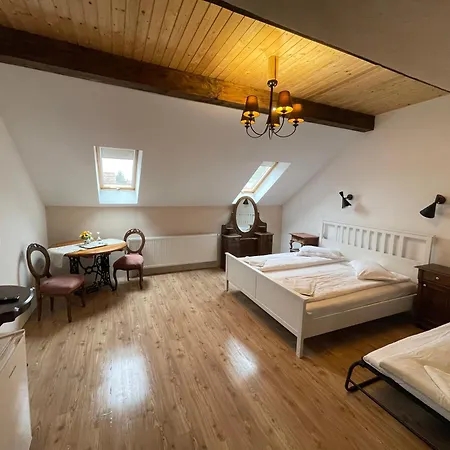 Guest House Hena Sfântu-Gheorghe Extérieur photo