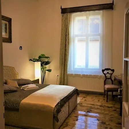 Guest House Hena Sfântu-Gheorghe Extérieur photo
